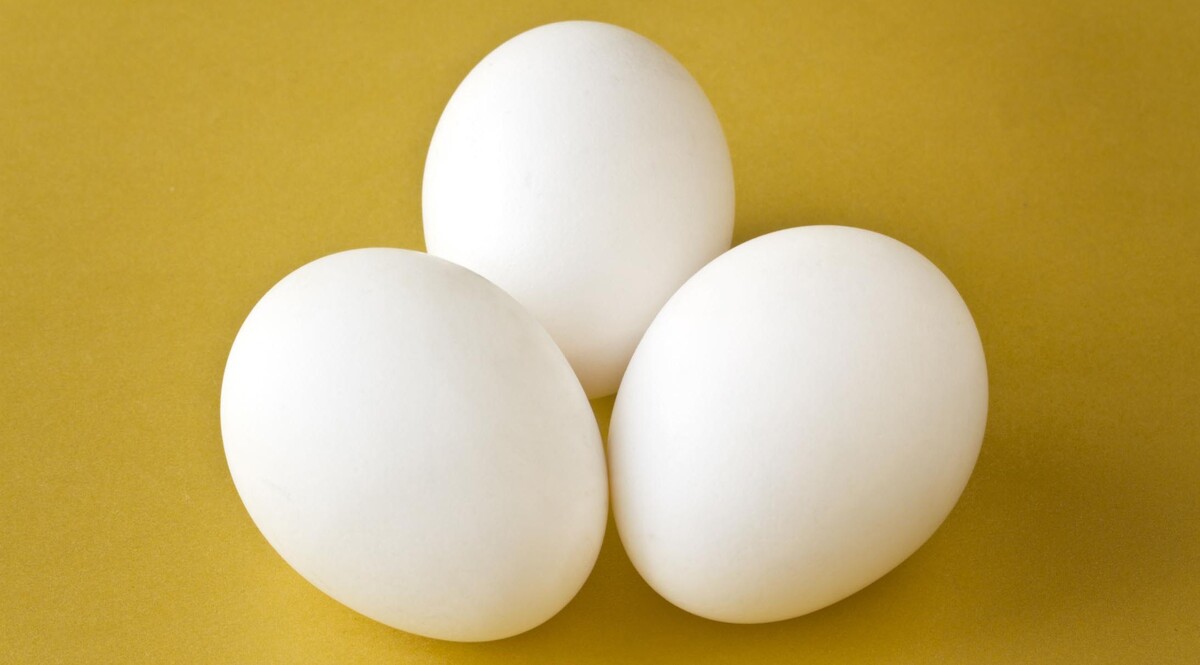 10 Benefits of eating eggs