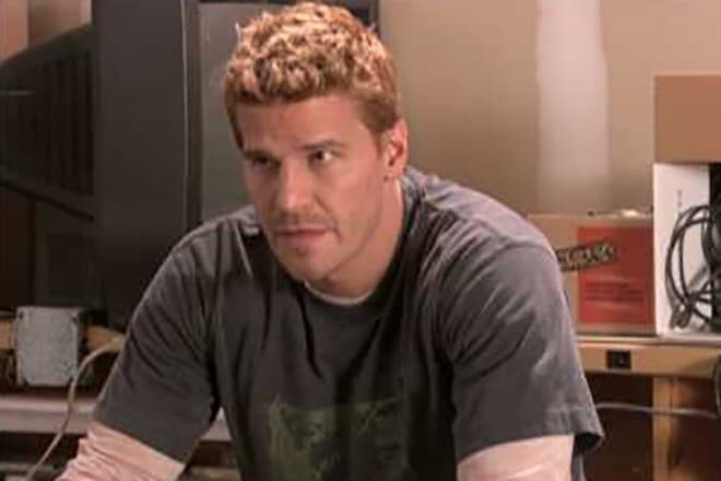David Boreanaz