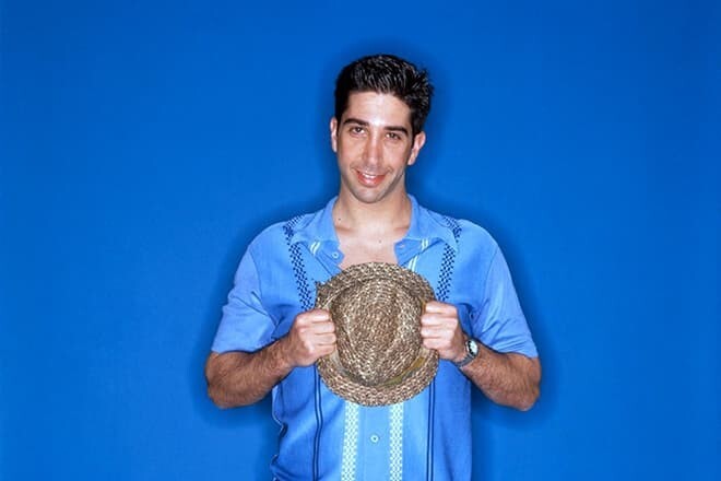 David Schwimmer