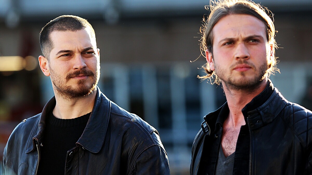 Içerde - TV Series (2016–2017)