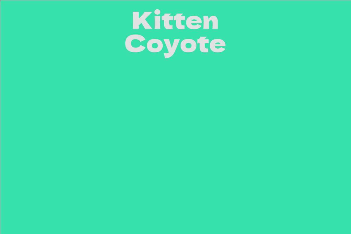 Kitten Coyote