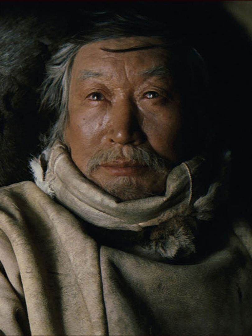 Mikhail Aprosimov-acacia__