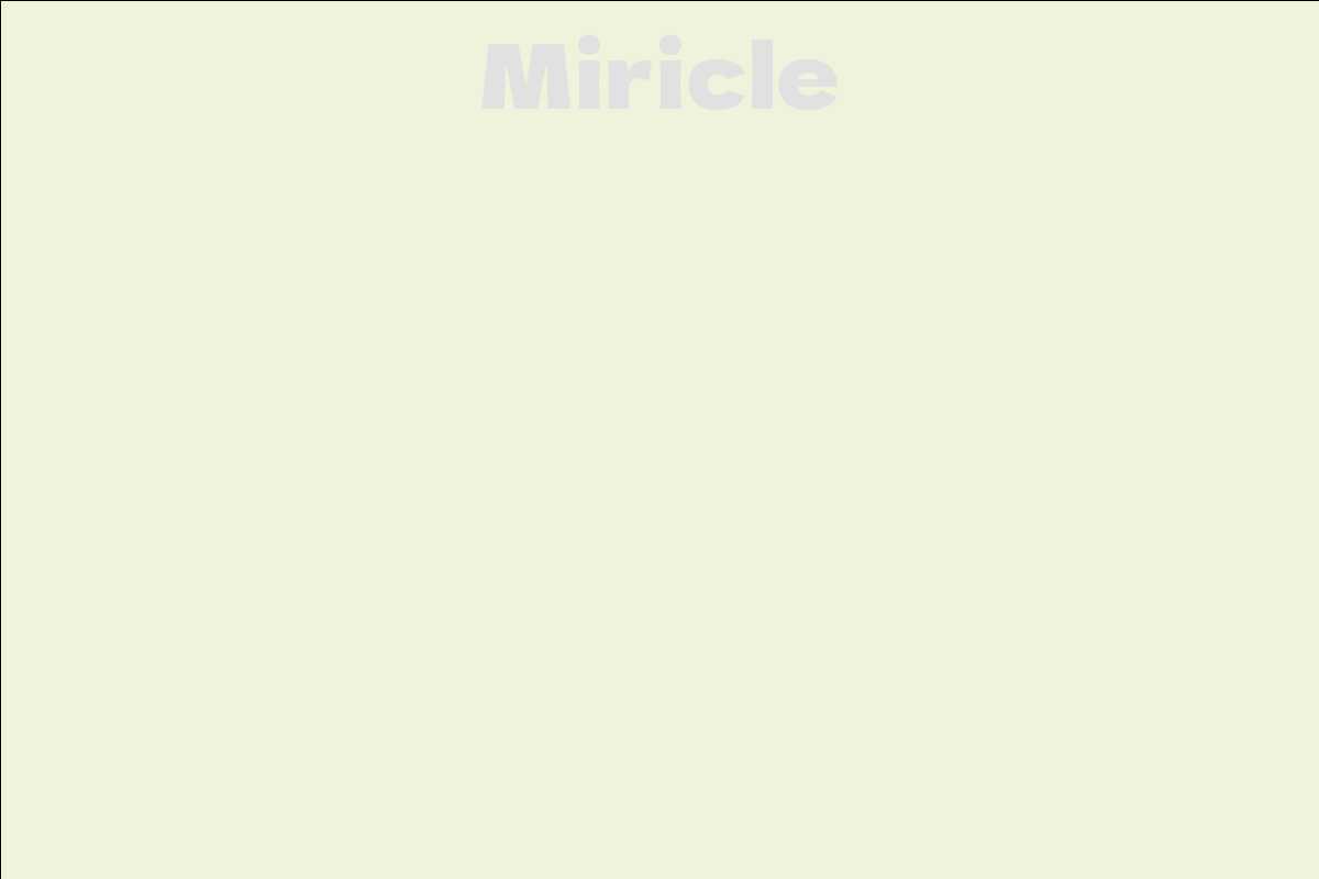 Miricle