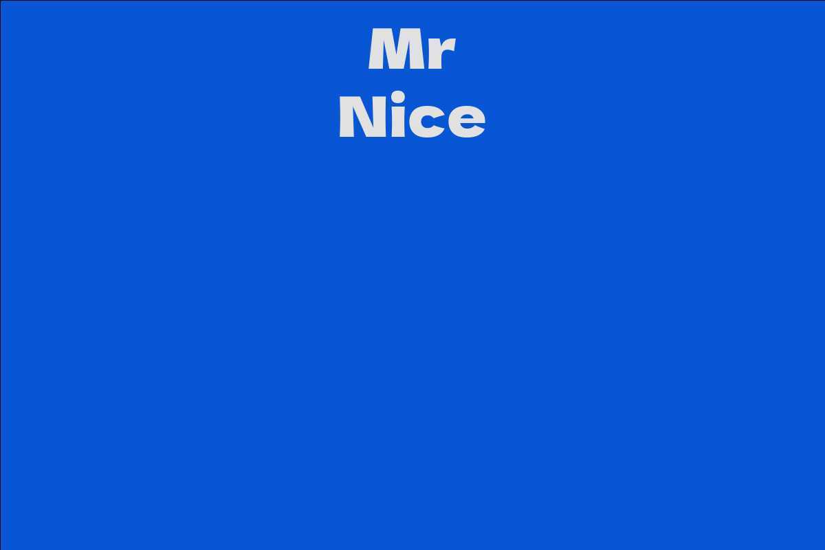 Mr Nice