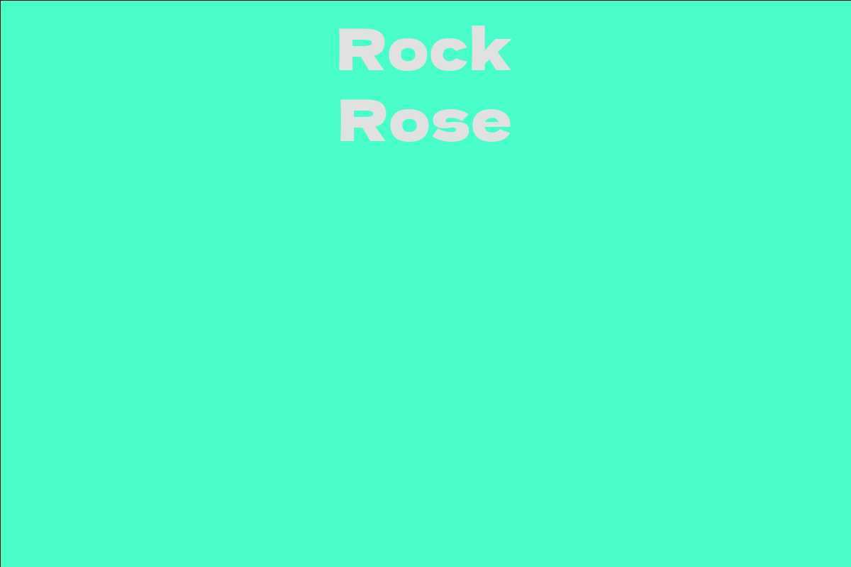 Rock Rose