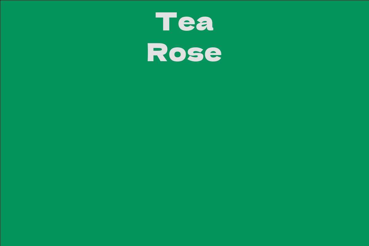 Tea Rose
