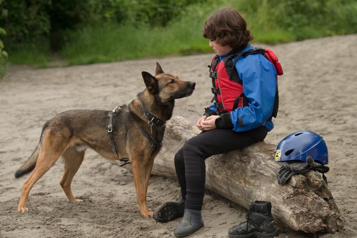 Zane Austin-missletiblane