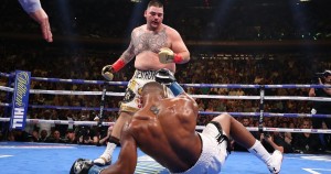 Andres Ponce Ruiz Jr.