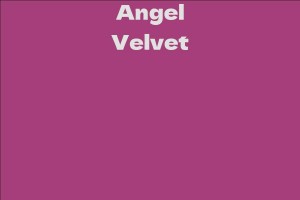 Angel Velvet