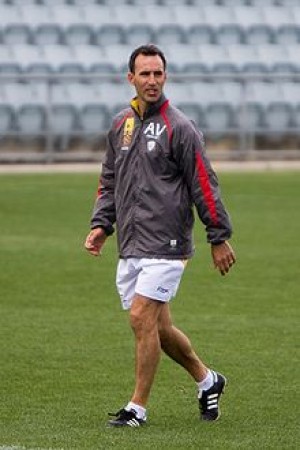 Aurelio Vidmar-forest_fury