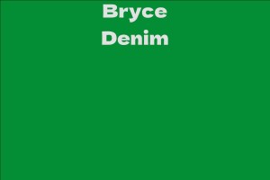 Bryce Denim