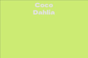 Coco Dahlia