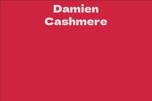 Damien Cashmere