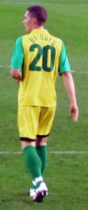 David Bridges