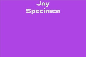 Jay Specimen
