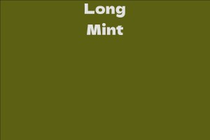 Long Mint