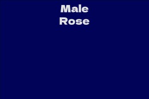 Male Rose