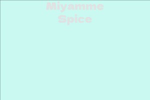 Miyamme Spice