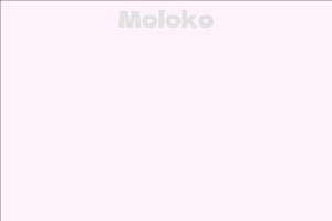Moloko