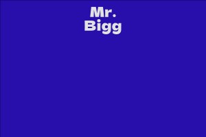 Mr. Bigg