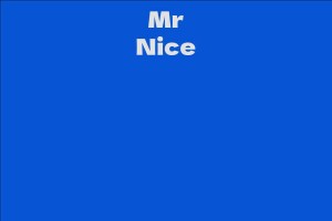 Mr Nice