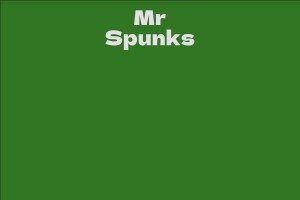 Mr Spunks