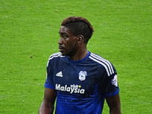 Sammy Ameobi