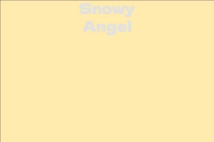 Snowy Angel