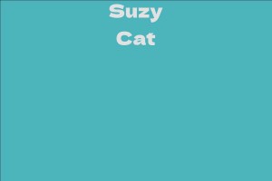 Suzy Cat