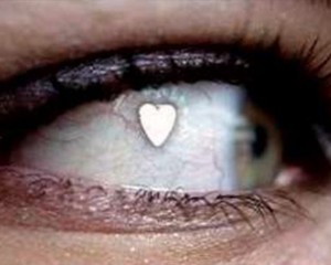 A few more interesting facts about eyes