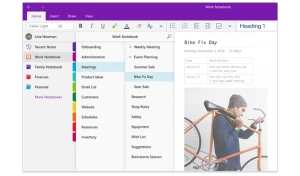 Microsoft OneNote (Windows, macOS)