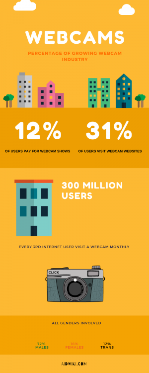 Webcam industry growth in 2019